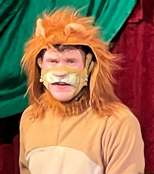 Lion-1